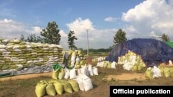 Myanmar Rice Production