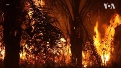 10 sự kiện thế giới nổi bật trong năm 2019 10 sự kiện thế giới nổi bật trong năm 2019