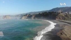 海水变暖助长海胆吞噬海藻林 海水变暖助长海胆吞噬海藻林