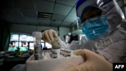 中国一名医护人员拿着新冠病毒感染者的样本准备进行核酸检测。资料照：2020年3月10日。