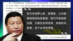 时事大家谈:习近平重提 “党内野心家、阴谋家”,政治标签贴向谁? 时事大家谈:习近平重提 “党内野心家、阴谋家”,政治标签贴向谁?