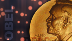 Nobel ငြိမ်းချမ်းရေးဆု တစ်ပြေးနေသူတွေ ရှိ Nobel ငြိမ်းချမ်းရေးဆု တစ်ပြေးနေသူတွေ ရှိ