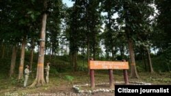 ပဲခူးရိုးမ တနေရာ