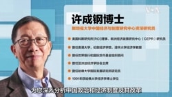 许成钢谈经论政:砸锅卖铁,因为“金融危机和财政危机一起来了” 许成钢谈经论政:砸锅卖铁,因为“金融危机和财政危机一起来了”