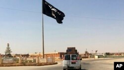 资料照片:伊斯兰国组织在伊拉克中部地区竖起的旗帜。(2014年7月12日)