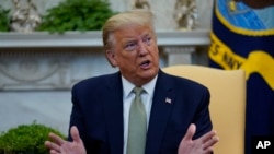 美国总统特朗普在白宫会见爱尔兰总理瓦拉德卡。（2020年3月12日）