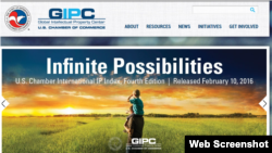 美国商会国际知识产权指数报告(网络截图)