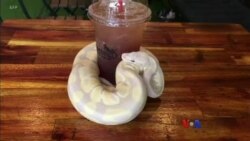 ဒီသီတင်းပတ် အာရှစီးပွားရေး ဒီသီတင်းပတ် အာရှစီးပွားရေး