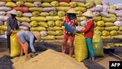 Người dân buôn bán gạo ở tỉnh Hậu Giang, Việt Nam, tháng 3/2016.