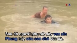 Mỹ: Giải cứu một phụ nữ và chú chó trong cơn lũ Mỹ: Giải cứu một phụ nữ và chú chó trong cơn lũ
