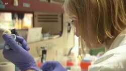 成功案例为人们带来抗击艾滋新希望 成功案例为人们带来抗击艾滋新希望