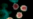 Coronavirus လေထဲကပျံ့နိုင်တဲ့ အထောက်အထားတွေ့ရ
