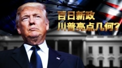 焦点对话:百日新政,川普亮点几何? 焦点对话:百日新政,川普亮点几何?