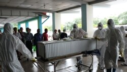 A-H1N1 တုပ်ကွေးကြောင့် သေဆုံးသူ ၅ ဦးရှိပြီ A-H1N1 တုပ်ကွေးကြောင့် သေဆုံးသူ ၅ ဦးရှိပြီ
