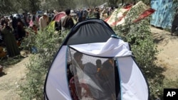 从北部省份逃离战火的阿富汗人在喀布尔的公园临时栖身。(2021年8月10日)