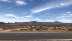 自由雕塑公园推出“中共病毒”纪念六·四 自由雕塑公园推出“中共病毒”纪念六·四