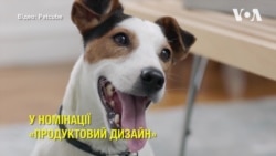 Пристрій українського стартапу Petcube відзначили престижною нагородою. Відео Пристрій українського стартапу Petcube відзначили престижною нагородою. Відео