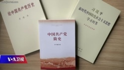 时事大家谈:夸大习时代粉饰文革十年,新版党史何以服众? 时事大家谈:夸大习时代粉饰文革十年,新版党史何以服众?