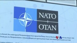 နှစ် ၇၀ ပြည့် နေတိုးမဟာမိတ်အဖွဲ့ နှစ် ၇၀ ပြည့် နေတိုးမဟာမိတ်အဖွဲ့