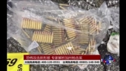 海峡论谈:恐怖攻击“变种”?加州枪击案似有谍报手法 海峡论谈:恐怖攻击“变种”?加州枪击案似有谍报手法