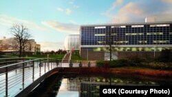 医药公司葛兰素史克在英国的总部