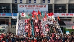 焦点对话:为武汉人民发声,作家方方遭举报 焦点对话:为武汉人民发声,作家方方遭举报