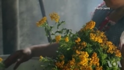 美洲艺术家齐聚美国印第安人博物馆