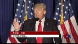 “川普总统”的对华政策一窥 “川普总统”的对华政策一窥