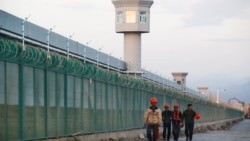 焦点对话:纽时曝光新疆文件,凸显中共决策短板? 焦点对话:纽时曝光新疆文件,凸显中共决策短板?