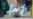 16x9 Image
