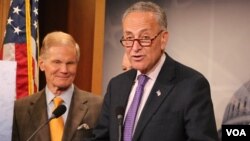 参议员舒默(资料照)(美国之音杨晨拍摄)