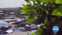 ကမ္ဘာတလွှား ဒုက္ခသည်ပြဿနာ ပိုမိုကြီးထွား ကမ္ဘာတလွှား ဒုက္ခသည်ပြဿနာ ပိုမိုကြီးထွား