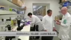 抗生素耐药性以“惊人速度”从动物扩散至人类 抗生素耐药性以“惊人速度”从动物扩散至人类