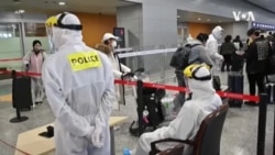 专家:台湾抗疫经验可供借鉴 专家:台湾抗疫经验可供借鉴