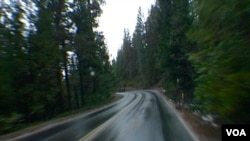 优胜美地公园联外的41号公路蜿蜒危险(美国之音国符拍摄)