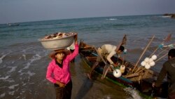 မြန်မာကမ်းရိုးတန်းဒေသ ငါးပမာဏ လျှော့နည်းလာ မြန်မာကမ်းရိုးတန်းဒေသ ငါးပမာဏ လျှော့နည်းလာ
