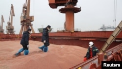 中国江苏南通港的海关官员在检查美国运来的高粱。(2020年2月11日, 路透社提供)