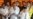 အင်ဒိုနီးရှားသမ္မတ Widodo ပြန်လည်ရွေးကောက်ခံရ