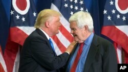 当时还是共和党总统提名人的美国总统唐纳德·川普(左)和前议长金里奇2016年7月在辛辛那提的一个竞选集会上。