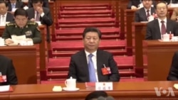 美学者揭示中共求生秘诀 美学者揭示中共求生秘诀