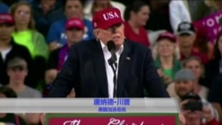 美总统就职仪式历史上象征权力和平移交 美总统就职仪式历史上象征权力和平移交