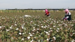 တရုတ် Xinjiang ဒေသထွက် ချည်ထည်ပစ္စည်းတွေ ပိတ်ဖို့ ကန် စဉ်းစားနေ တရုတ် Xinjiang ဒေသထွက် ချည်ထည်ပစ္စည်းတွေ ပိတ်ဖို့ ကန် စဉ်းစားနေ