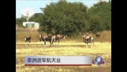 非洲进军航天业  非洲进军航天业