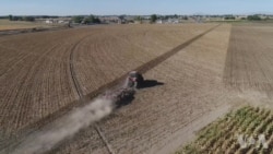 贸易战中爱达荷与台湾的经贸合作持续发展 贸易战中爱达荷与台湾的经贸合作持续发展