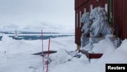 资料照:位于挪威斯瓦尔巴群岛新奥勒松的中国北极黄河站门口的石狮子。(2023年4月6日)