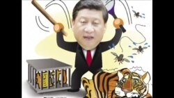 火墙内外:打苍蝇还是打老虎? 赵红霞奇案引关注 火墙内外:打苍蝇还是打老虎? 赵红霞奇案引关注