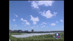 上海自贸区引领中国新一轮开放? 上海自贸区引领中国新一轮开放?