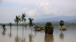 မိုးဒဏ်သင့် ကူညီရေး ကုလပြင်ဆင် မိုးဒဏ်သင့် ကူညီရေး ကုလပြင်ဆင်