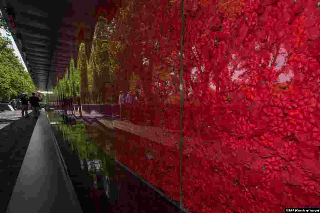 在华盛顿特区国家广场和纪念公园的罂粟花纪念墙近景,这是临时纪念装置,是一个半透明的结构,长133英尺,高8英尺半,里面装满罂粟花,有645,000多朵。这是为了纪念自第一次世界大战以来服务于美军的每个男女。