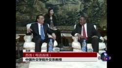 VOA连线:苏浩:非洲对中国为何重要? VOA连线:苏浩:非洲对中国为何重要?